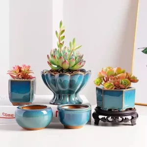 elegant glazed ceramic pots for succulents and small plants